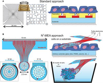 N3-MEA Probes: Scooping Neuronal Networks